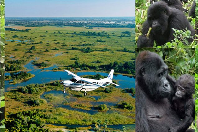 3 Days Gorilla Flying Safari