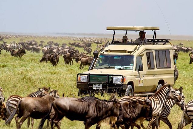 5-Day Budget Kenya Safari