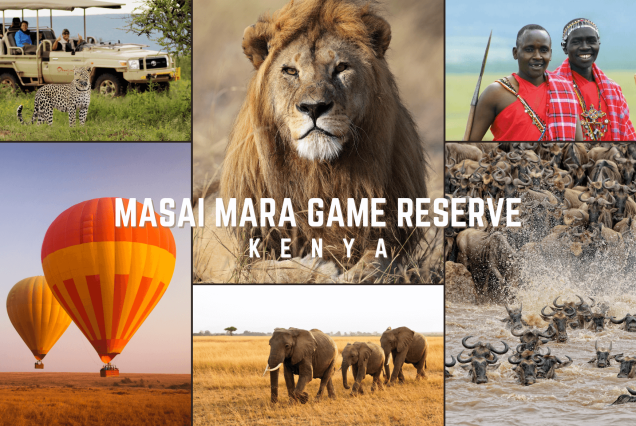 3 Days Masai Mara Safari